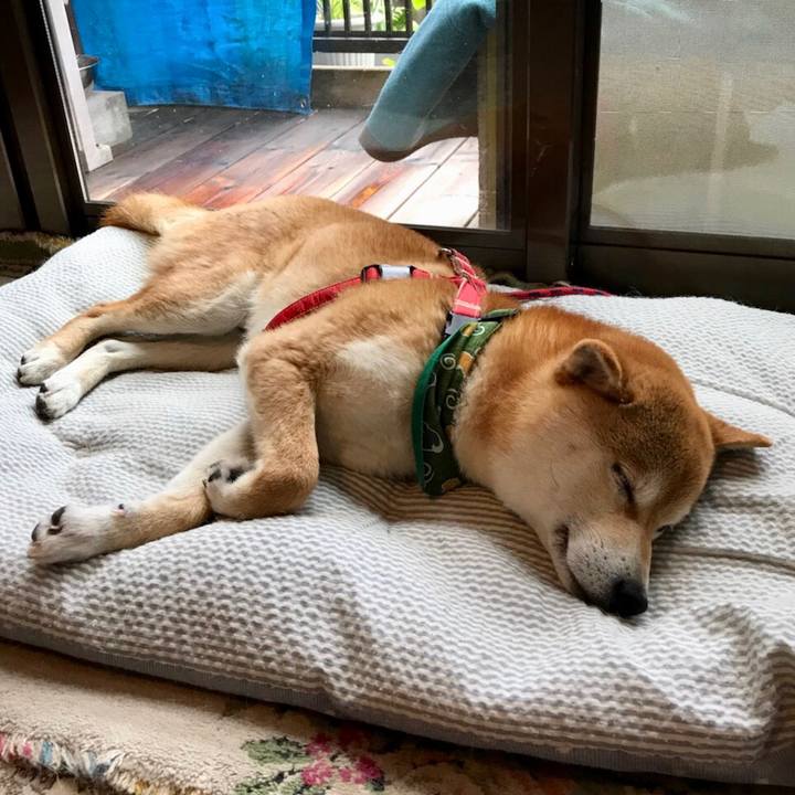 F63d7968 81b7 4cc5 a1b4 a4992fcb3899 1524626016872