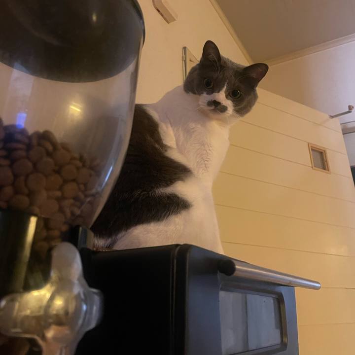 F63daaef 3cec 4790 9eb8 dc69789a192a 1733959949369