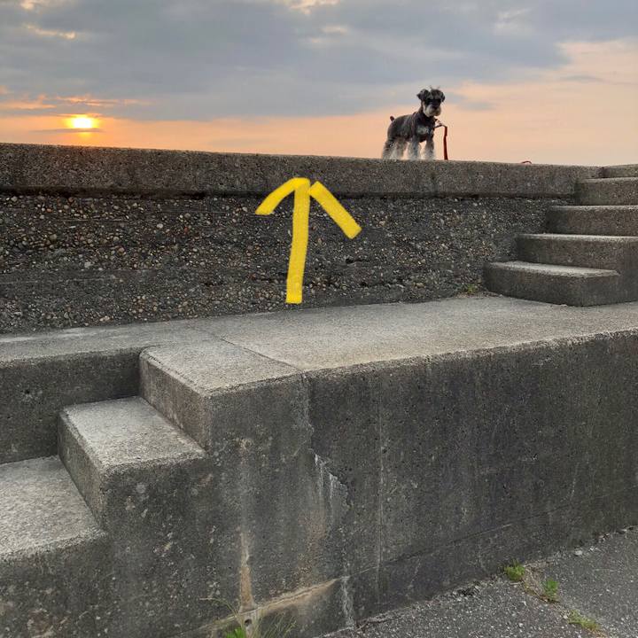 F63dc55e c165 4c22 b678 e1aaaf688a3a 1654872895394