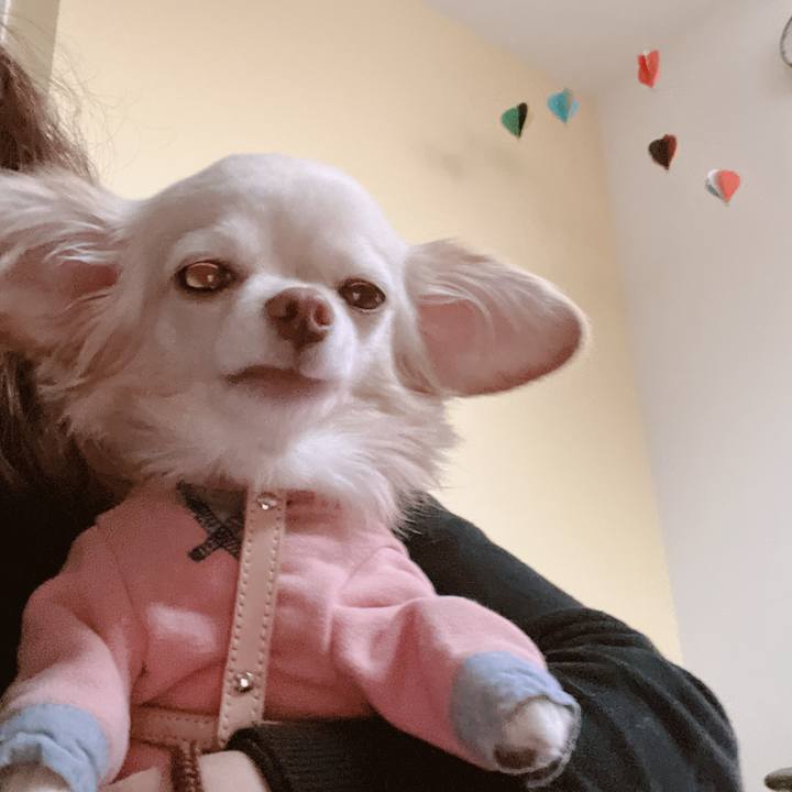 F63dc7fd a223 41ac ab6e 434b3fed74cc 1667551390046