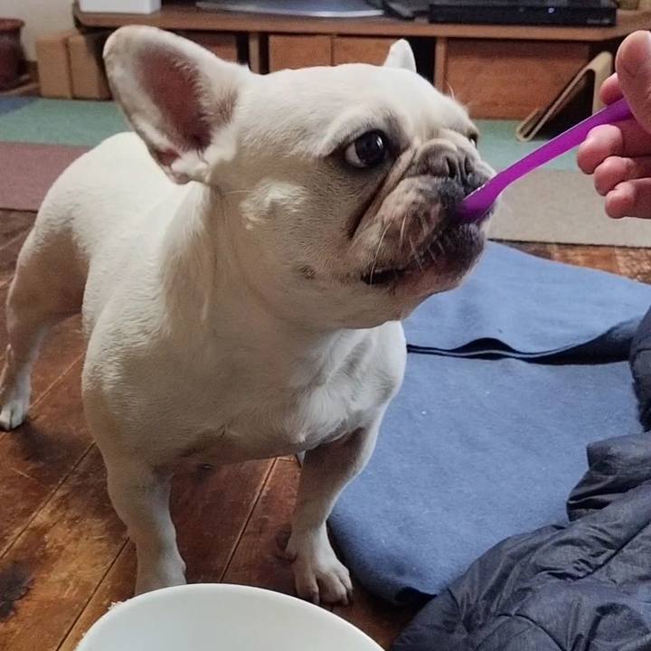 F63dd785 b924 4df4 8d2a 67111bd1885a 1688168924303