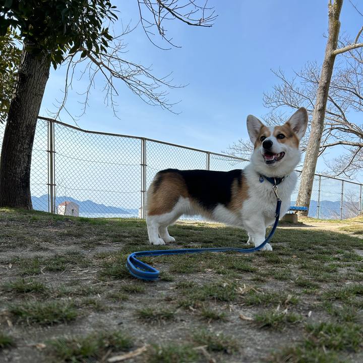 F63df981 fb01 43b9 893a 98cf29b25e3c 1772687239702