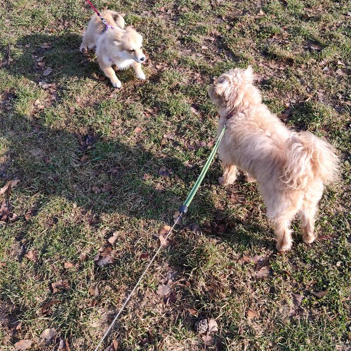 F63e060c eb9e 4a48 8e89 78fda8ce3ba4 1586469456255