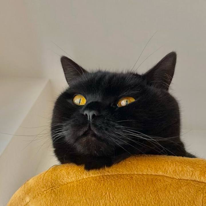 F63e1b43 a17e 4b4e 9072 aef886bf2b8c 1608946895125