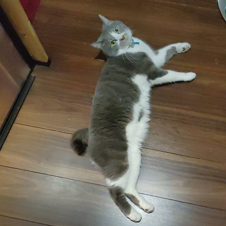 F63e2504 fedd 41c9 87b8 52365510b411 1682892550983