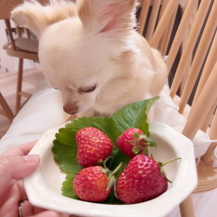 F63ef586 0b15 40a8 976b b7b7408fa9c3 1747316599091