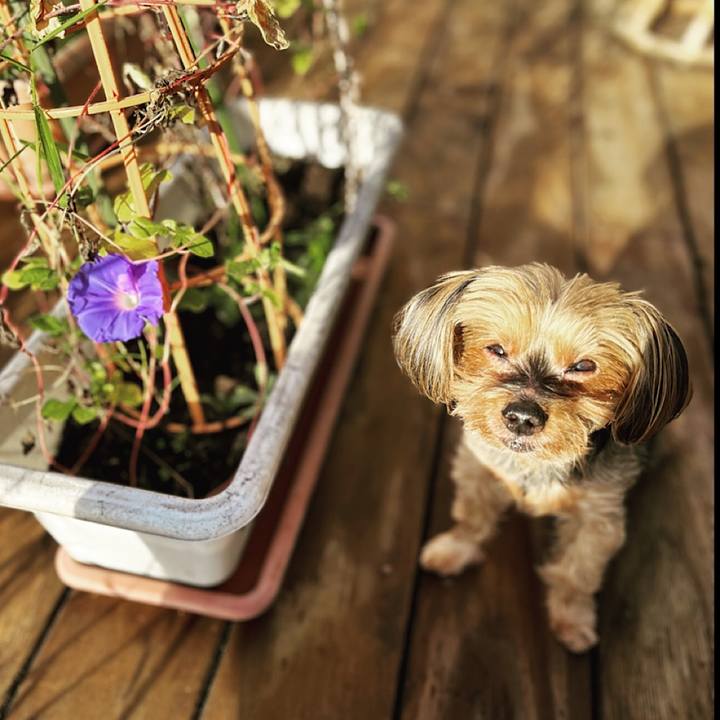 F63f0014 3d69 4c4d be24 f87430b64e52 1695682836565