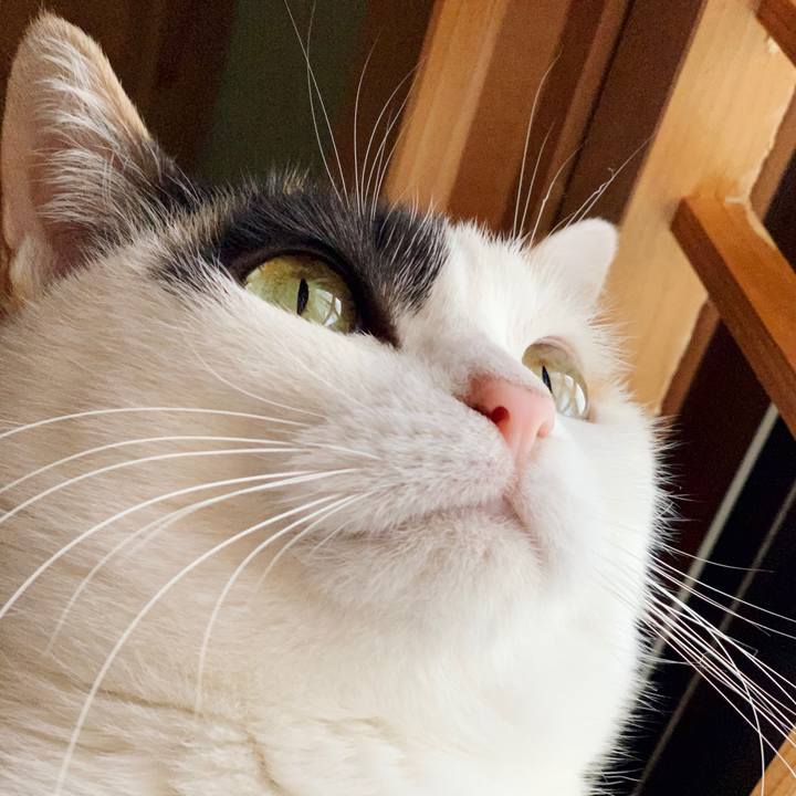 F63f10db f93c 4521 9a59 60be8373b928 1549936888014