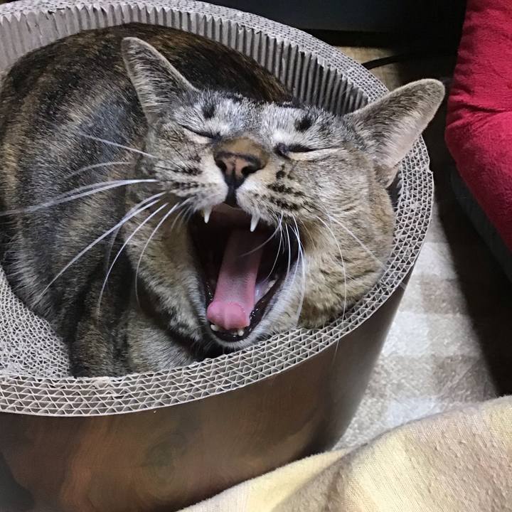 F63f9418 830a 4c14 ba60 cd7d8db00330 1701860122144