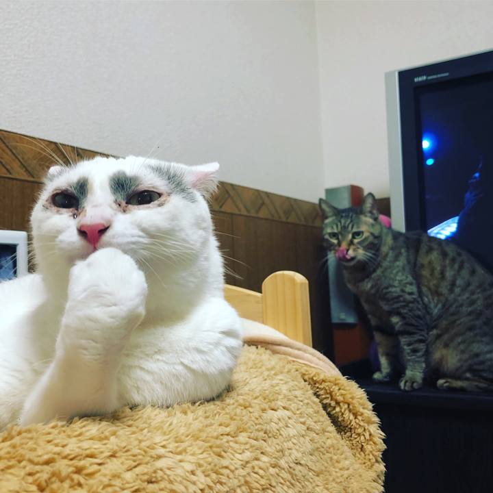 F63fbecd cde8 490e 9ced 387e734d95fe 1565320765889