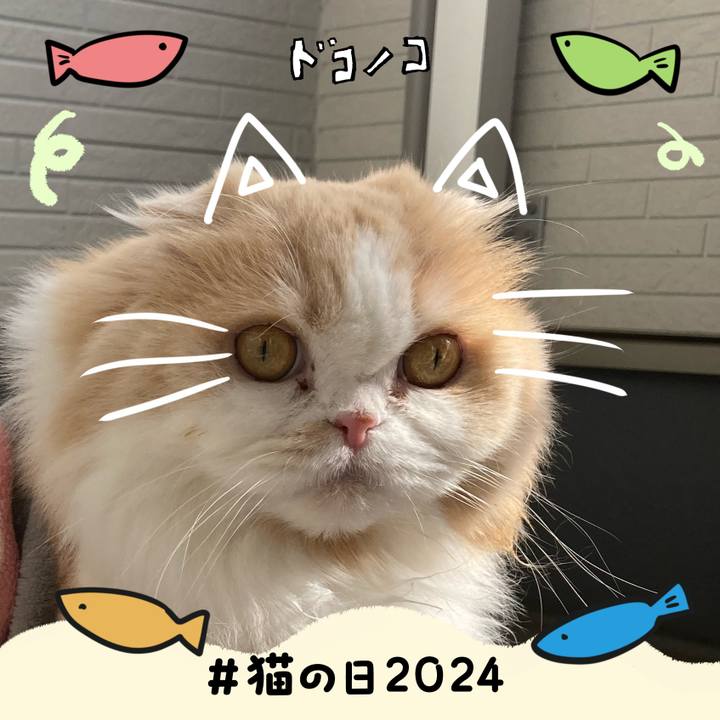 F6401447 3bbe 48eb bceb 72af802a7f99 1708607596243