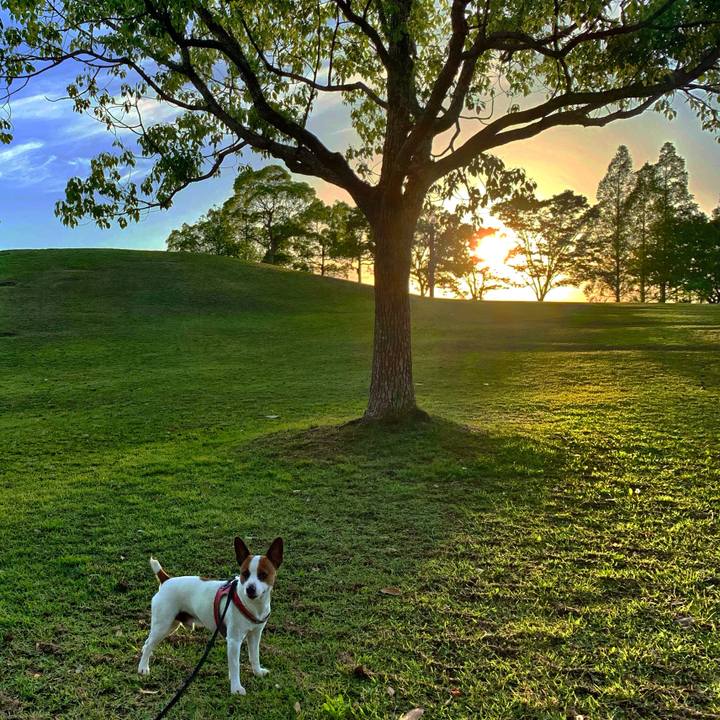 F640198f 38b3 4b40 88d3 0de0195de03b 1558434295770