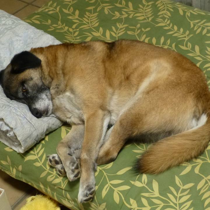 F6407bef d305 4481 84c0 14b16789973e 1581245606541