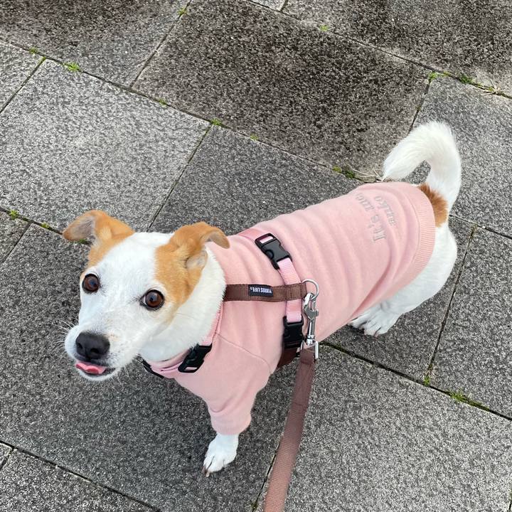 F640c56f 1c09 4f85 83f7 6616338b4369 1774136635821