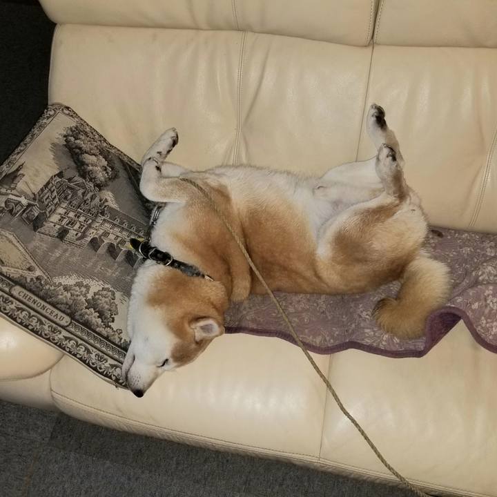 F640cbd8 2c5d 47ca b3e2 f72832a7e976 1640250945732