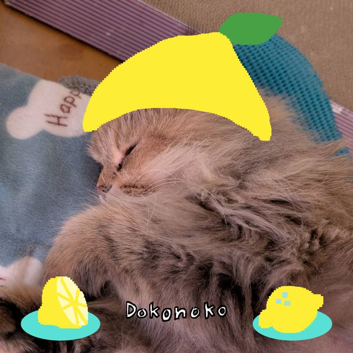 F640eb98 7845 4ada 90e2 f1074109d99e 1741417825454