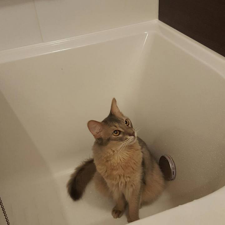 F640f225 2a3d 4c9e b7d2 b250ff6b6bec 1527860090425