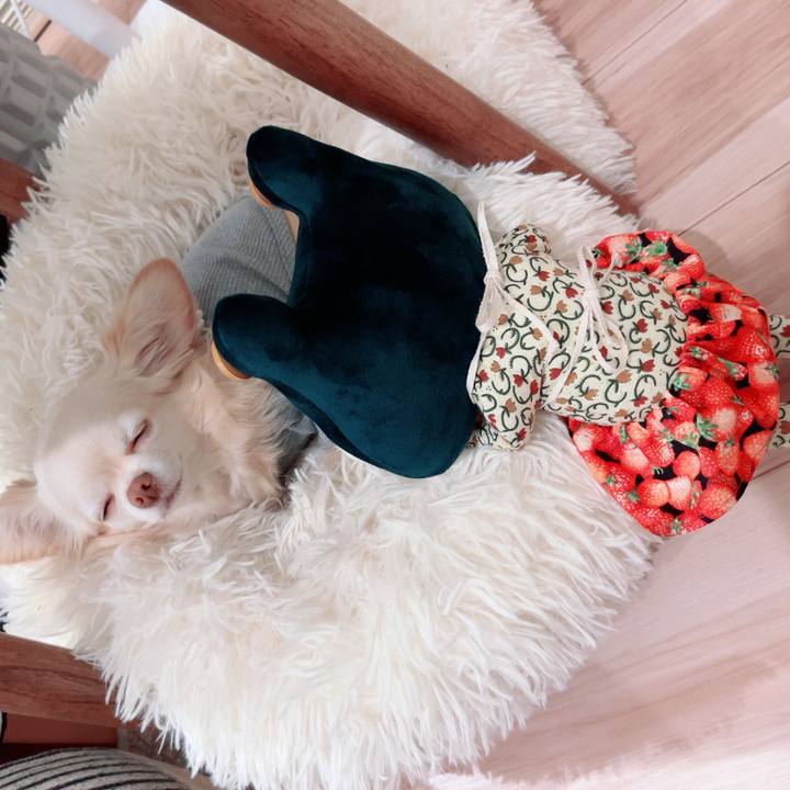 F640f8e5 2d6f 4dfb 809a 0bd913e73388 1746092792397