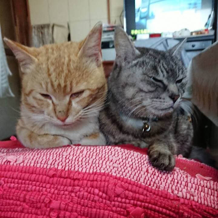 F6413194 39cc 4dfe a2d2 26ece2a30060 1555114861480