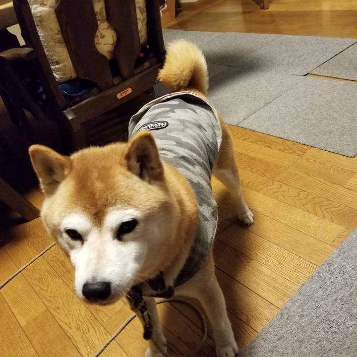 F6416f0e b13f 4184 b440 fea12a7be6ed 1644225192546