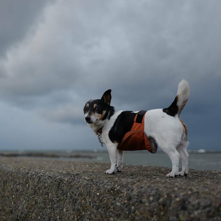 F6418ce0 2ba5 4677 8425 32305a00c074 1514175535866