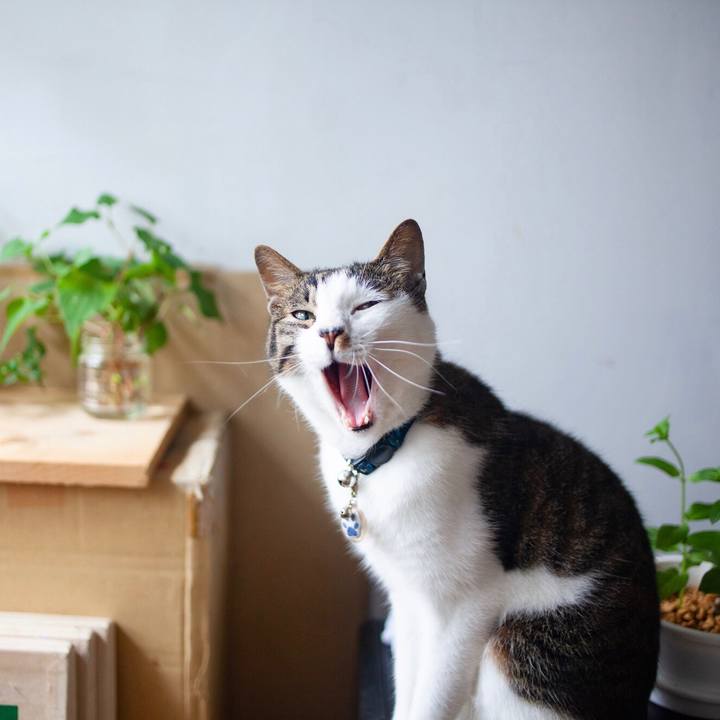 F641942d 94d7 4926 9102 147a997f6700 1593872254221