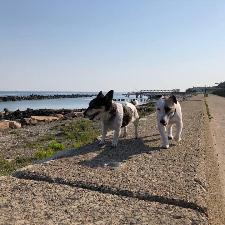 F641babd 883b 4e9c a5a6 166c402807c6 1558916766637