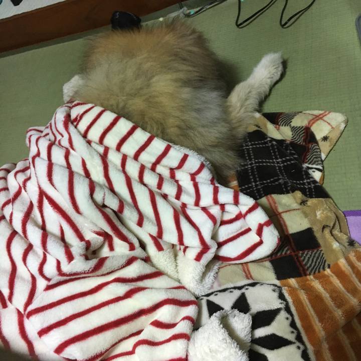 F642215f aa22 44b3 8dee df6496ca4ad9 1552831334650