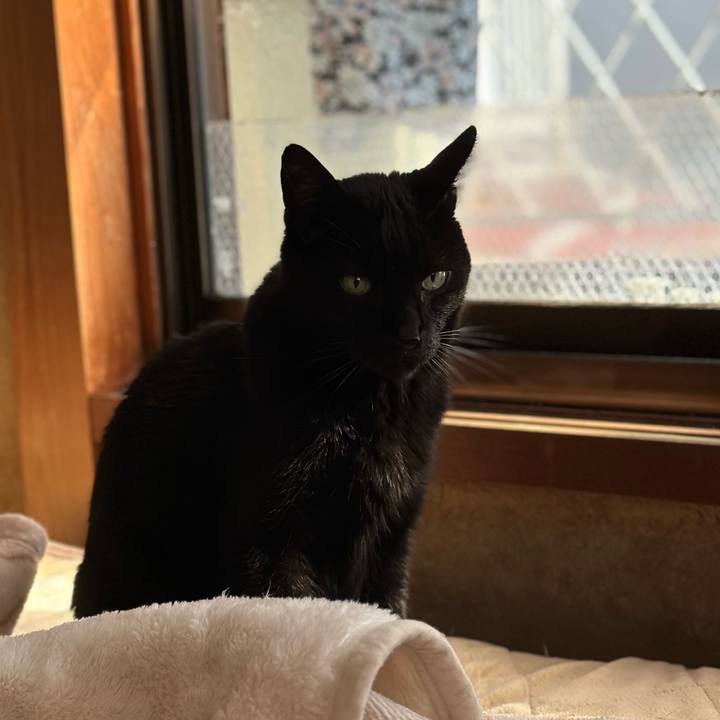 F6423565 6da1 48e5 a3ae 57197fe34def 1698279292235