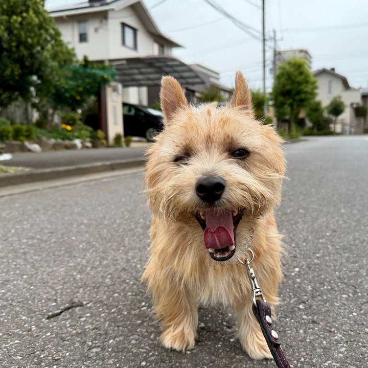 F6423c07 02c0 44af a200 f0de8557d1f3 1761054769274