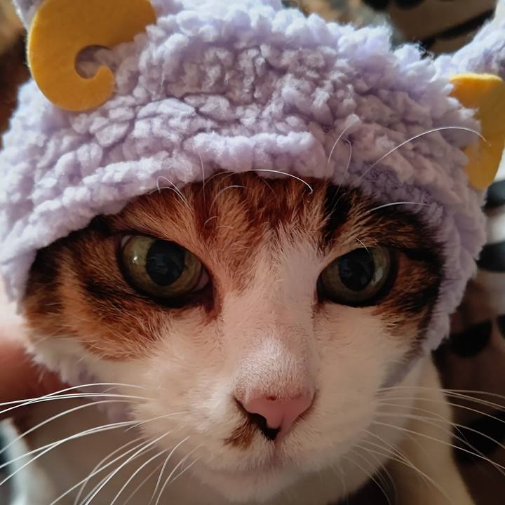 F64289bf 002f 4c16 bd26 a3b8fb8995cf 1635037791115