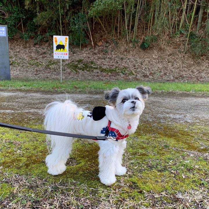 F6428db0 e538 4da1 a0f9 9467233df40c 1580660460728