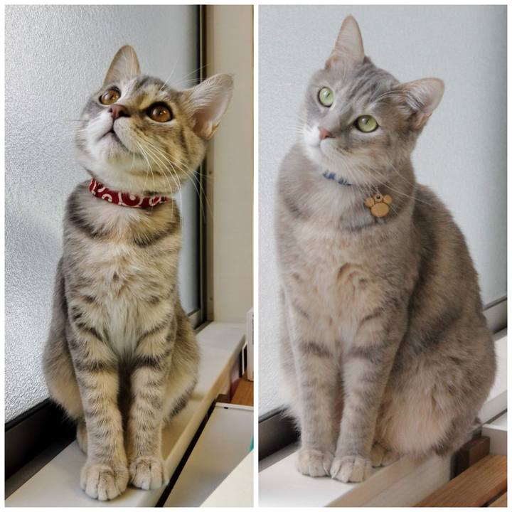 F642a036 3fa8 40bf aee4 188baf6f0f1d 1587009748684