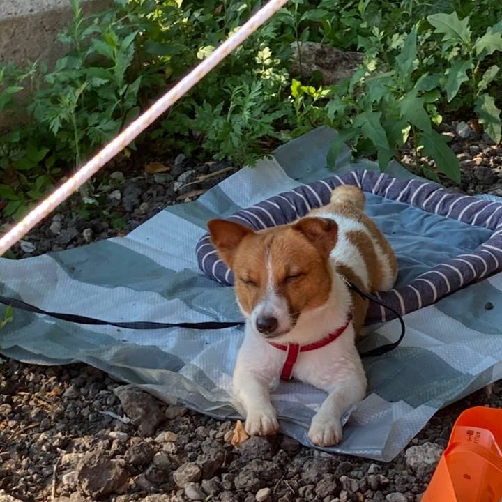 F642b3f9 4a4c 43fc 96fd 9cbc8f69d6ba 1656748142392