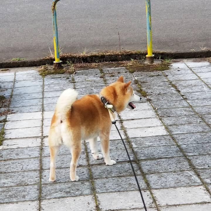 F642c622 4411 4cef bc6b d03c5a8e4ba0 1658736209028