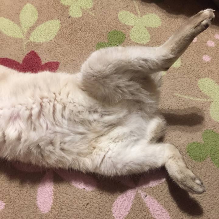 F642cddf 7eae 471b 8da9 69712c610d8f 1577534576341