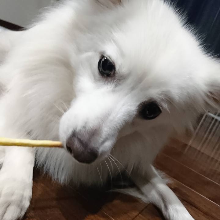 F643074d 4d6b 41f8 b241 b17a4fb046c5 1554474248682