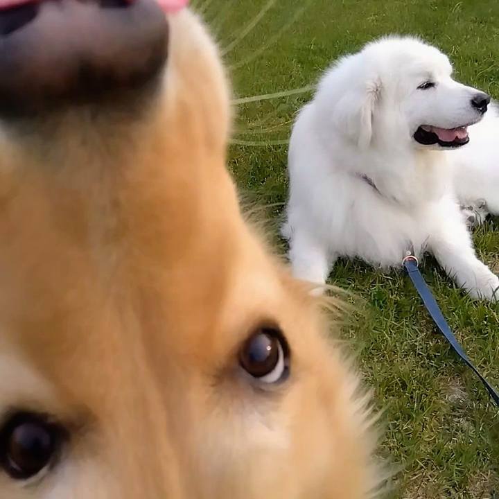 F6430b15 0e5d 4267 ac46 3a42d5595a37 1683776192914