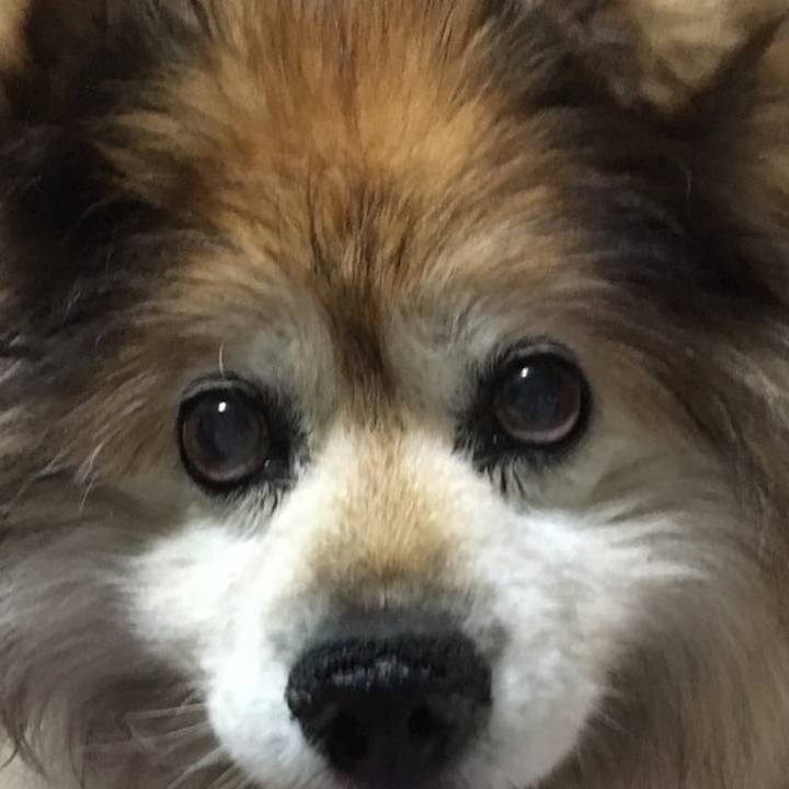 F6432f13 c9dc 405f b954 dec954b12b9f 1626414010192