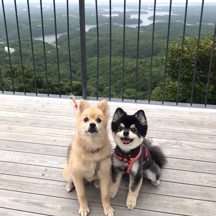 F6433e69 dc13 4092 b36f 6ca942b6a8a5 1573642399298