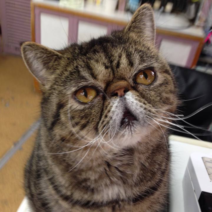 F6434879 aeb7 4c62 ab85 18768e0b2cf1 1582330783849