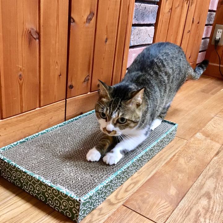 F6436368 d26c 4e3e a20a df6f640e6387 1511947583911