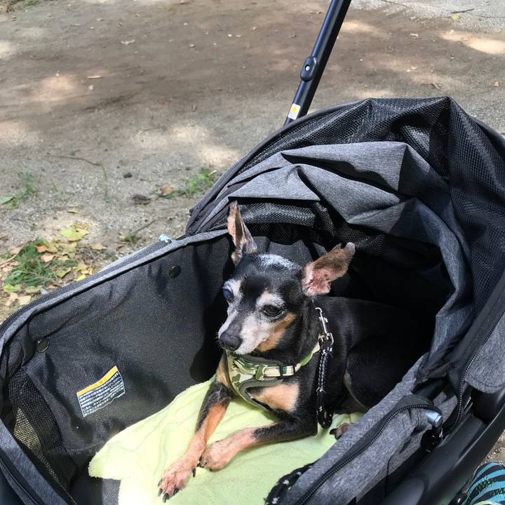 F6436ded f461 47fc b98d 85a1c05e1c64 1568518822202