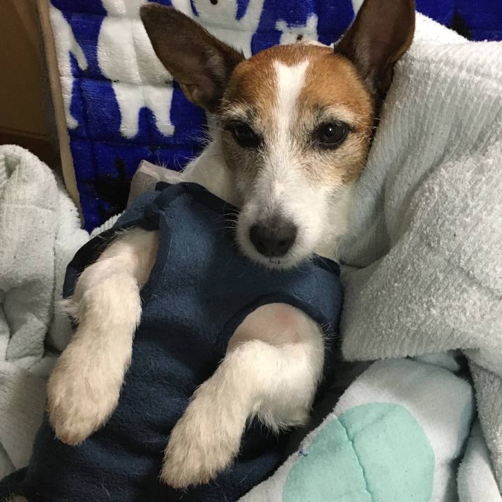 F6437bb2 0ce1 4dcd bb24 fd4e950e561c 1576728774060