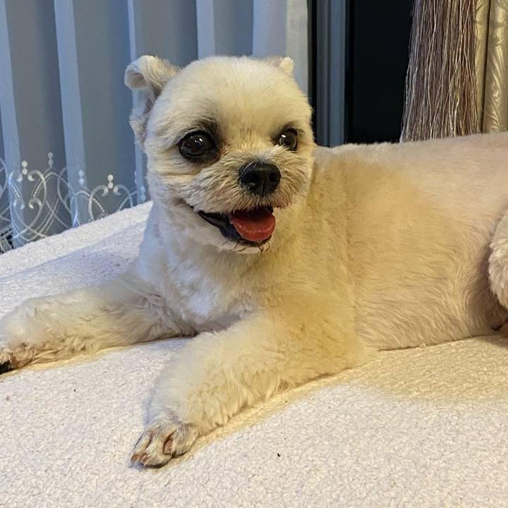 F64380b3 ad7e 4997 9851 d8066d24a2b8 1747309726561