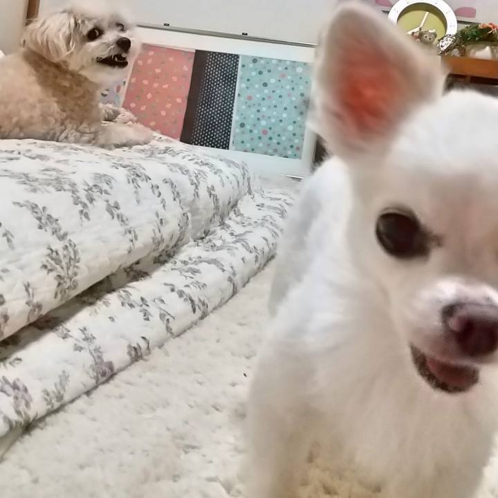 F64385ad 8f9a 4155 9a60 640a58d115b4 1595761598073