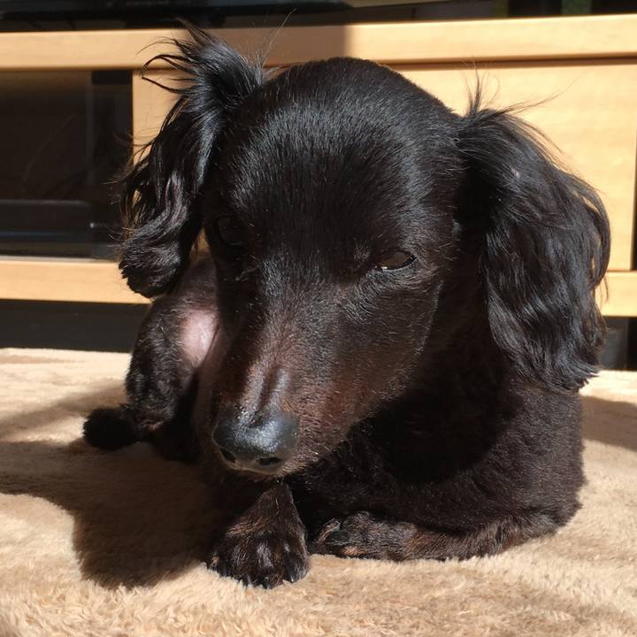 F643d962 eebf 4824 a108 29237a16f434 1555020728656