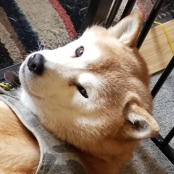 F643fe70 6707 4a8a a609 14b17c4e2f43 1645574081943