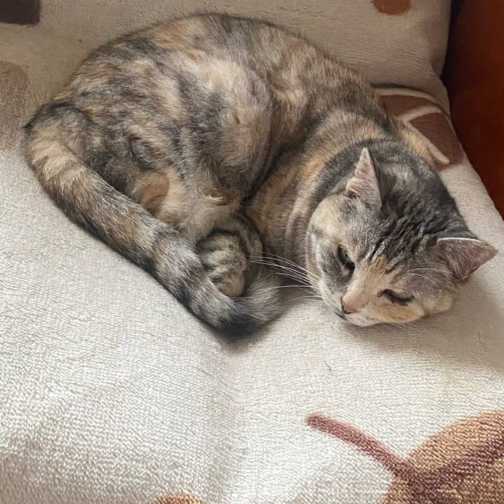 F643ffaf ac9f 47e2 8816 756d59d93ae6 1685772458550