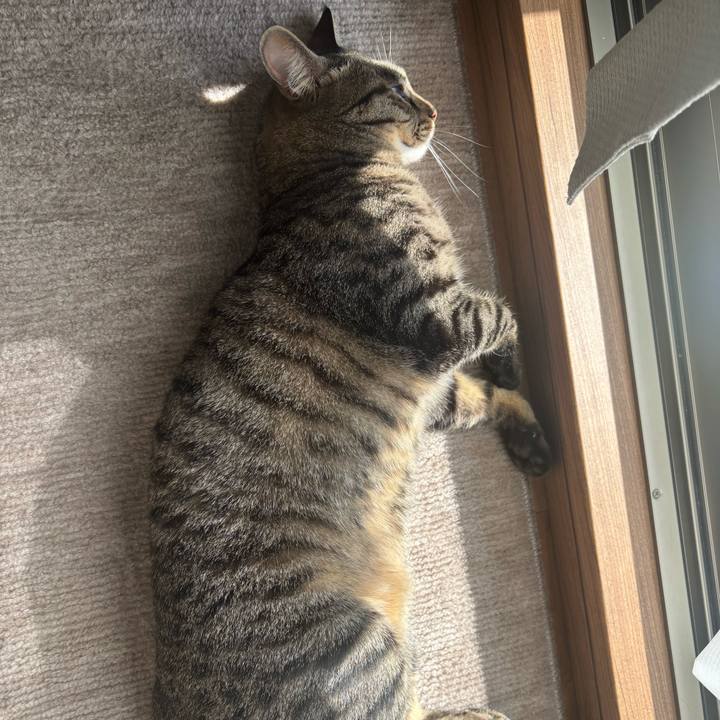 F6440f19 f3af 401e b337 b7f70bbc4b63 1763088305570